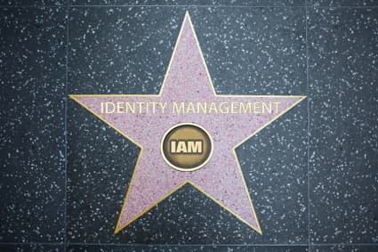 IAM starring as business performance management.