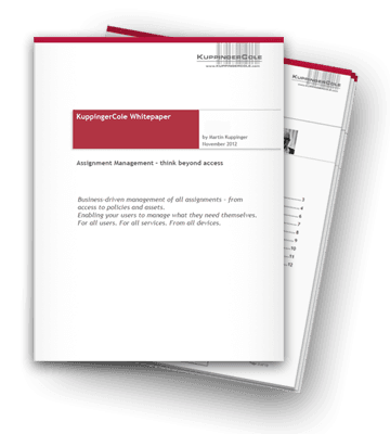 identity management analysts white paper.