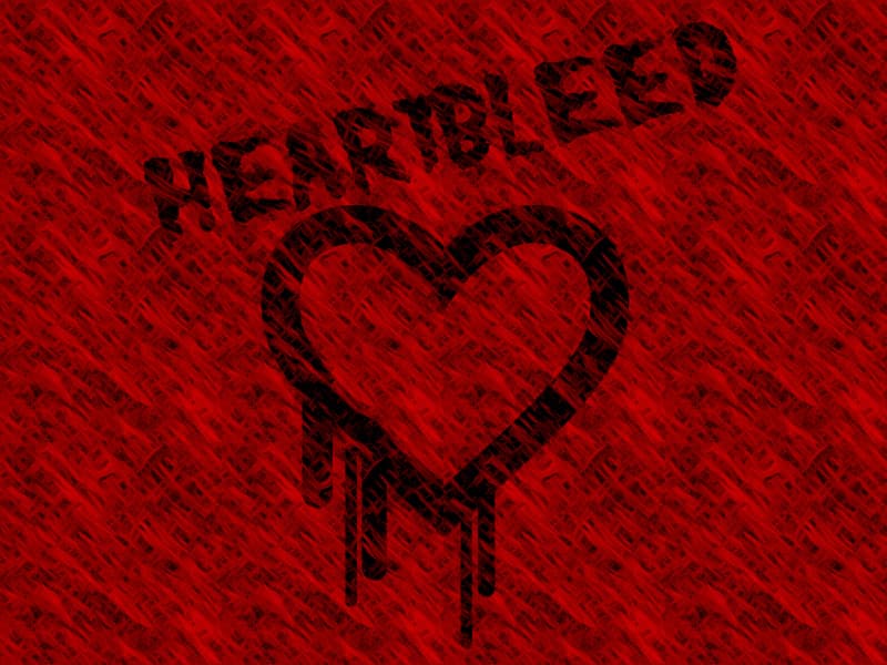 The Heartbleed Security Flaw, Cloud Identity Management, and Avatier Company Statement