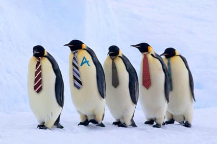 IT Leadership gets in line.