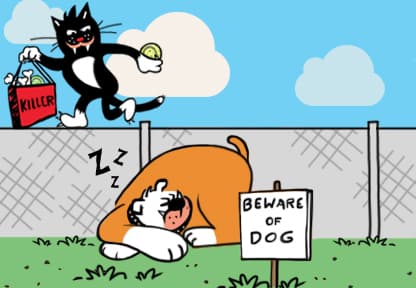 blog-false-security