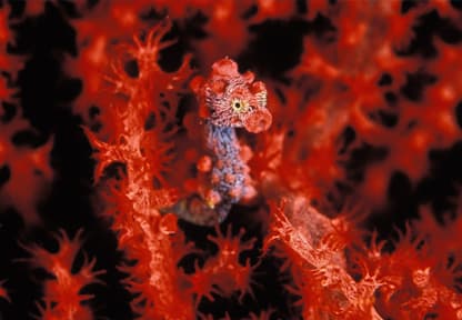 blog-The Most Overlooked Areas In IT Security Maintenance