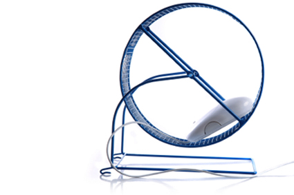 The Perpetual IT Audit: Hop Off the Hamster Wheel with Identity and Access Management Software